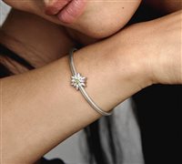 Charm Pandora in Argento 798243ENMX - 798243ENMX
